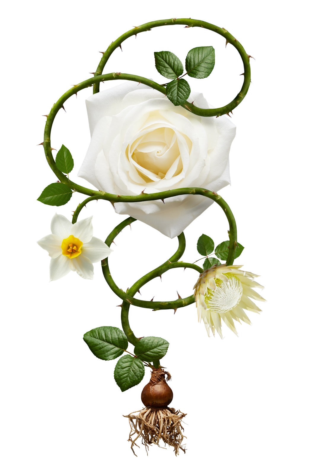 DIGIBOUQUETS-202303-01