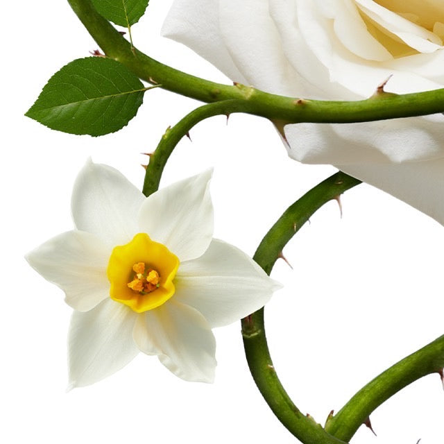 DIGIBOUQUETS-202303-01